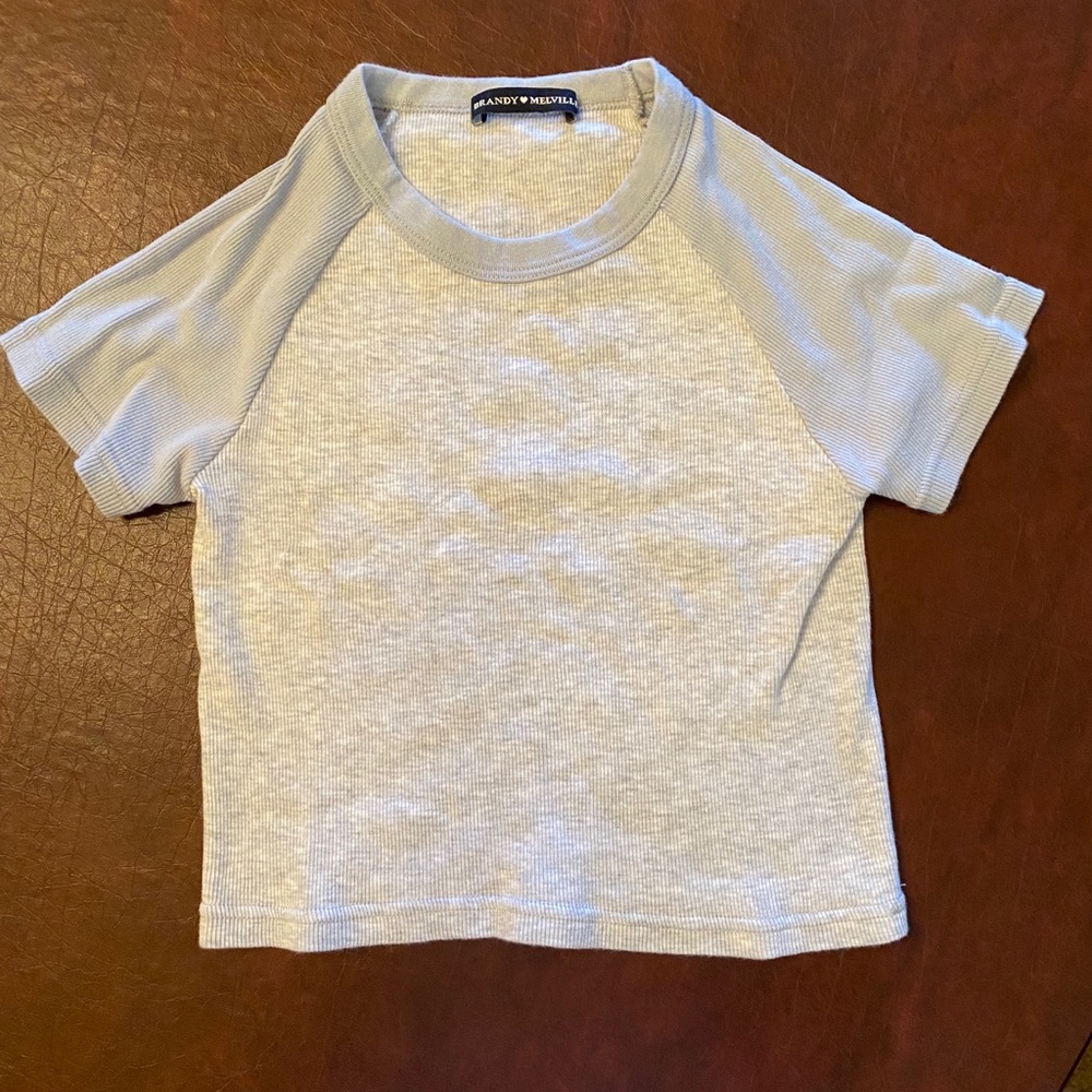 Brandy Melville Cropped Tee